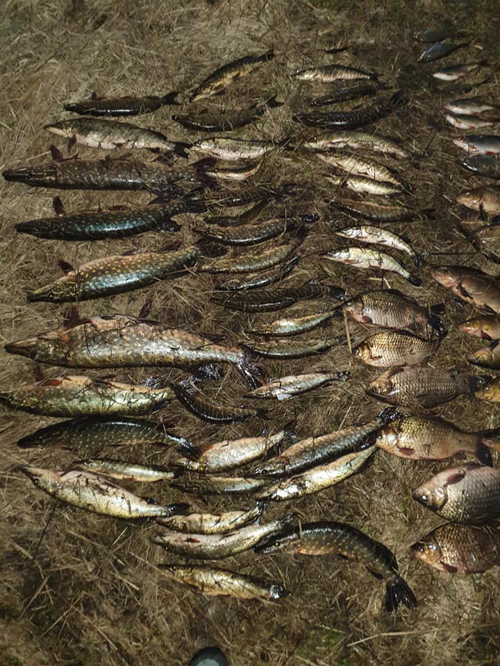 Усі «в долі»: як риболов з рибпатрулем в засідці браконьєрів спіймав (фото, відео)
