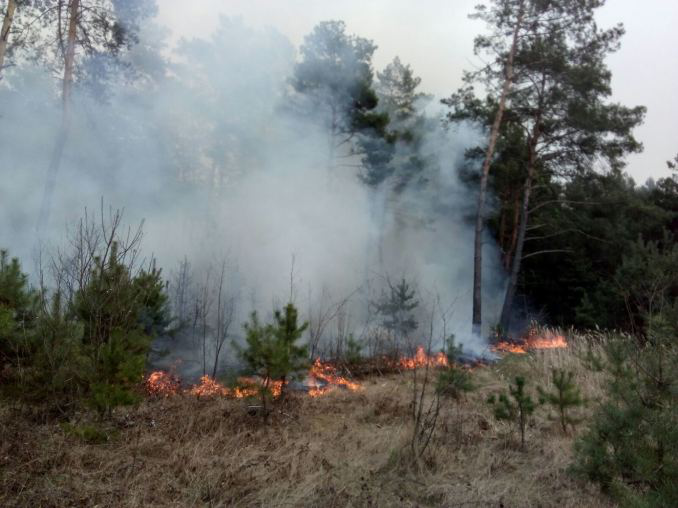 За вихідні на Волині загасили 28 пожеж (фото, відео)