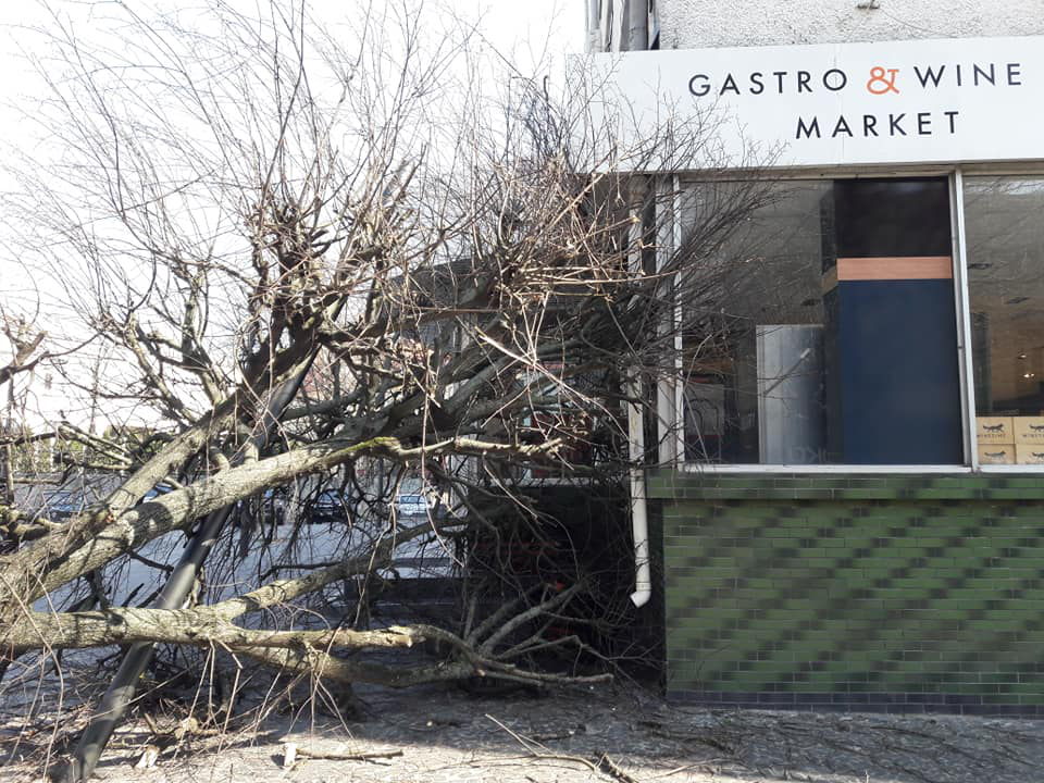 У центрі Луцька на магазин впало дерево (ФОТО)