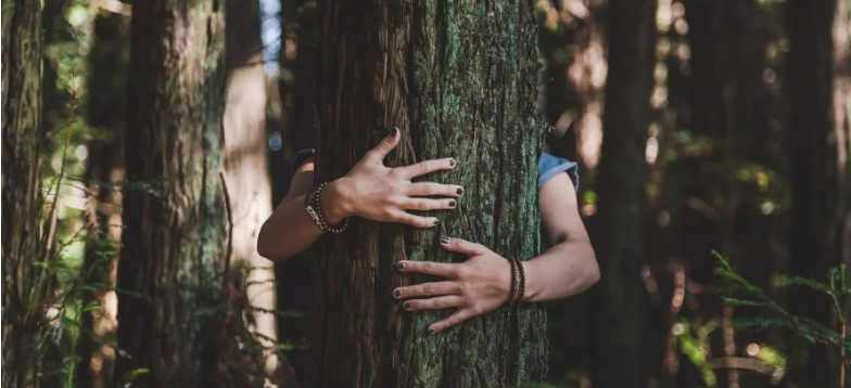 В Ісландії на карантині рекомендують обіймати дерева замість людей