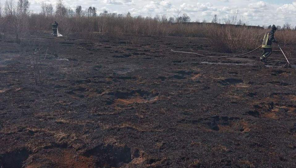 У Ратнівському районі борються з вогнем на торфовищі: допомагають місцеві (фото)