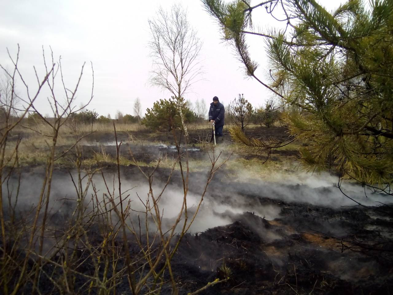 У Шацькому районі загасили пожежу на торф'янику (фото)