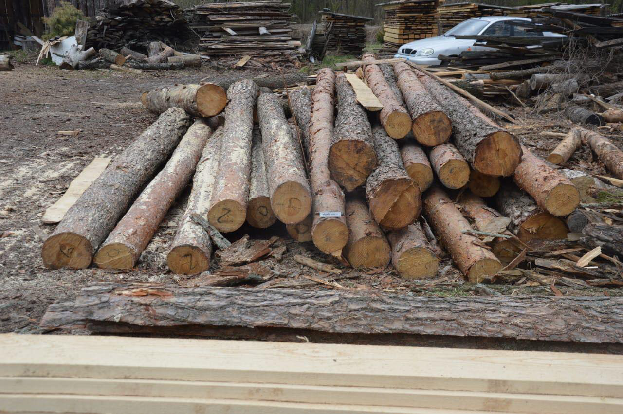 Сосни, дуби, тополі: у Ковельському районі знайшли незаконно зрубані дерева (фото)