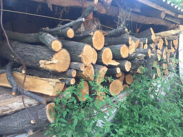 На Волині встановили, на яку пилораму звозили незаконно зрізану деревину