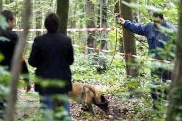 У лісі на Волині знайшли тіло чоловіка: вбивцю спіймали (фото)