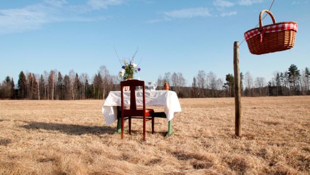 Посеред поля: у Швеції відкрили ресторан для одного гостя (фото)