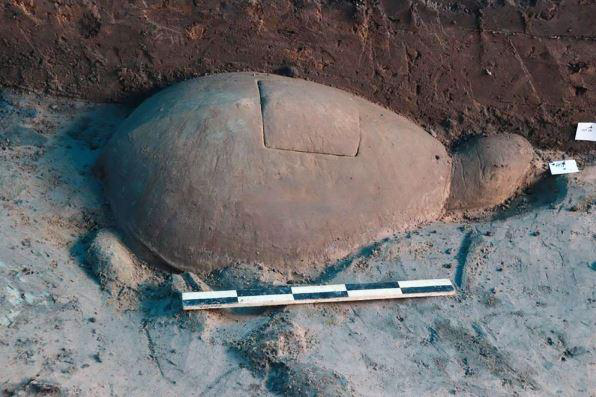 Археологи знайшли 1000-літню кам'яну черепаху в храмовому комплексі Ангкор (фото)