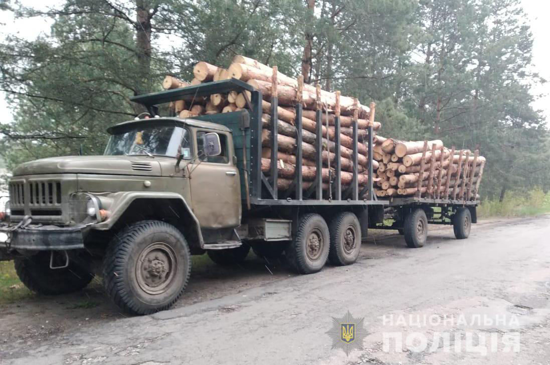 На Волині затримали три вантажівки з деревом і підозрілими документами (фото)