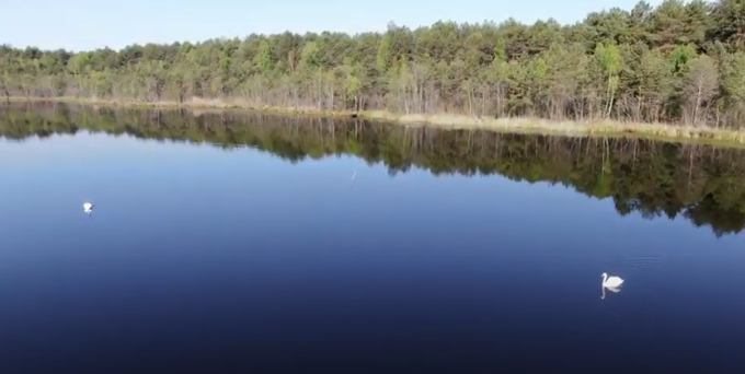 Неймовірні кадри: озеро Святе, що на Волині, показали з висоти (відео)