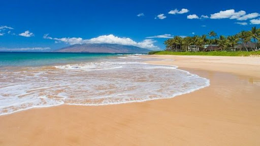 Запостив фото пляжів у Instagram: на Гаваях заарештували туриста за порушення карантину