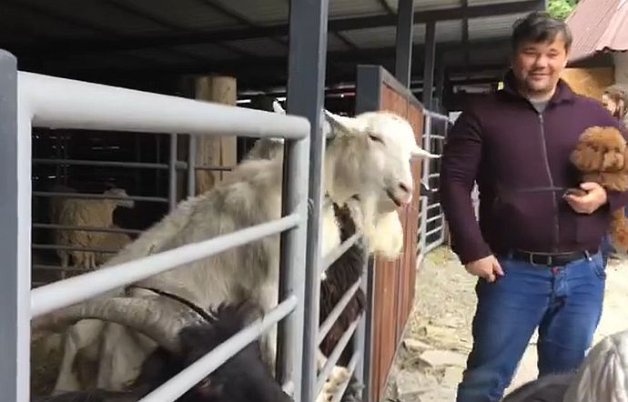 «Казліна ти дурна»: Богдан надавав лящів тварині у столичному зоопарку (відео)