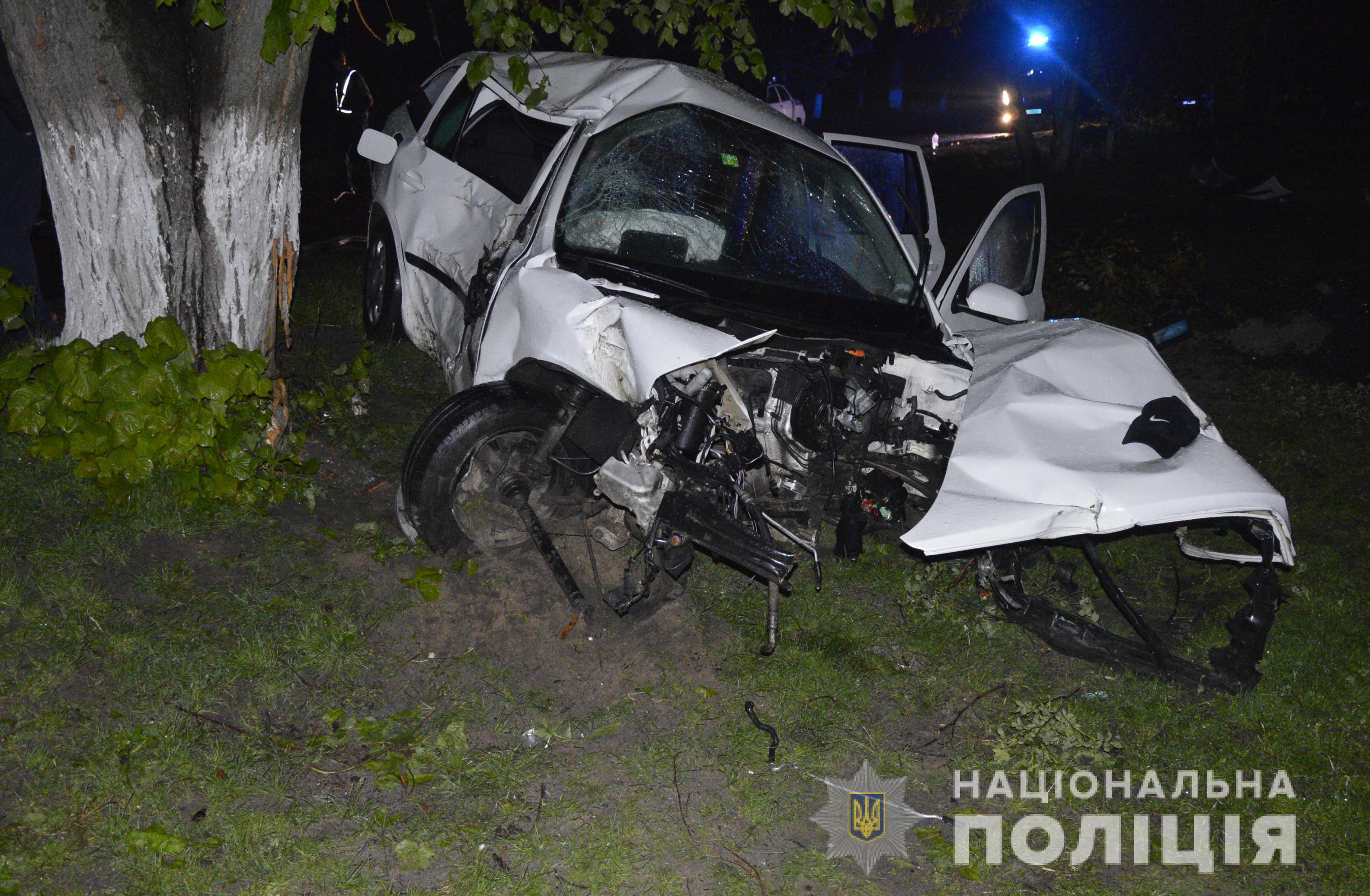 У Ківерцівському районі автомобіль врізався в дерево: одна людина загинула (фото)