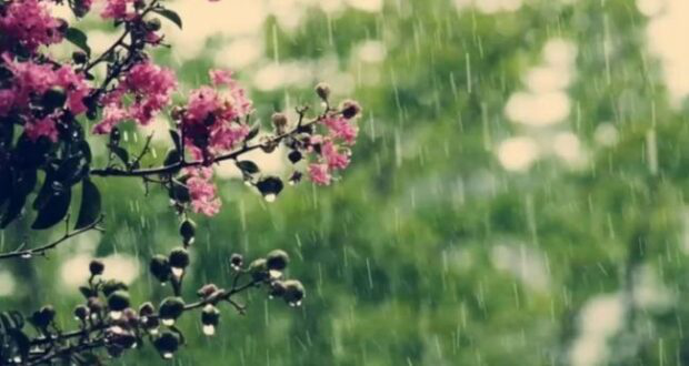 Дощ із грозою: погода в Луцьку на середу, 17 червня