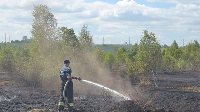 Тортури димом: Україні загрожують масштабні пожежі на торфовищах