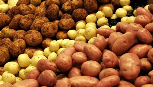 Через повені картопля зросте в ціні