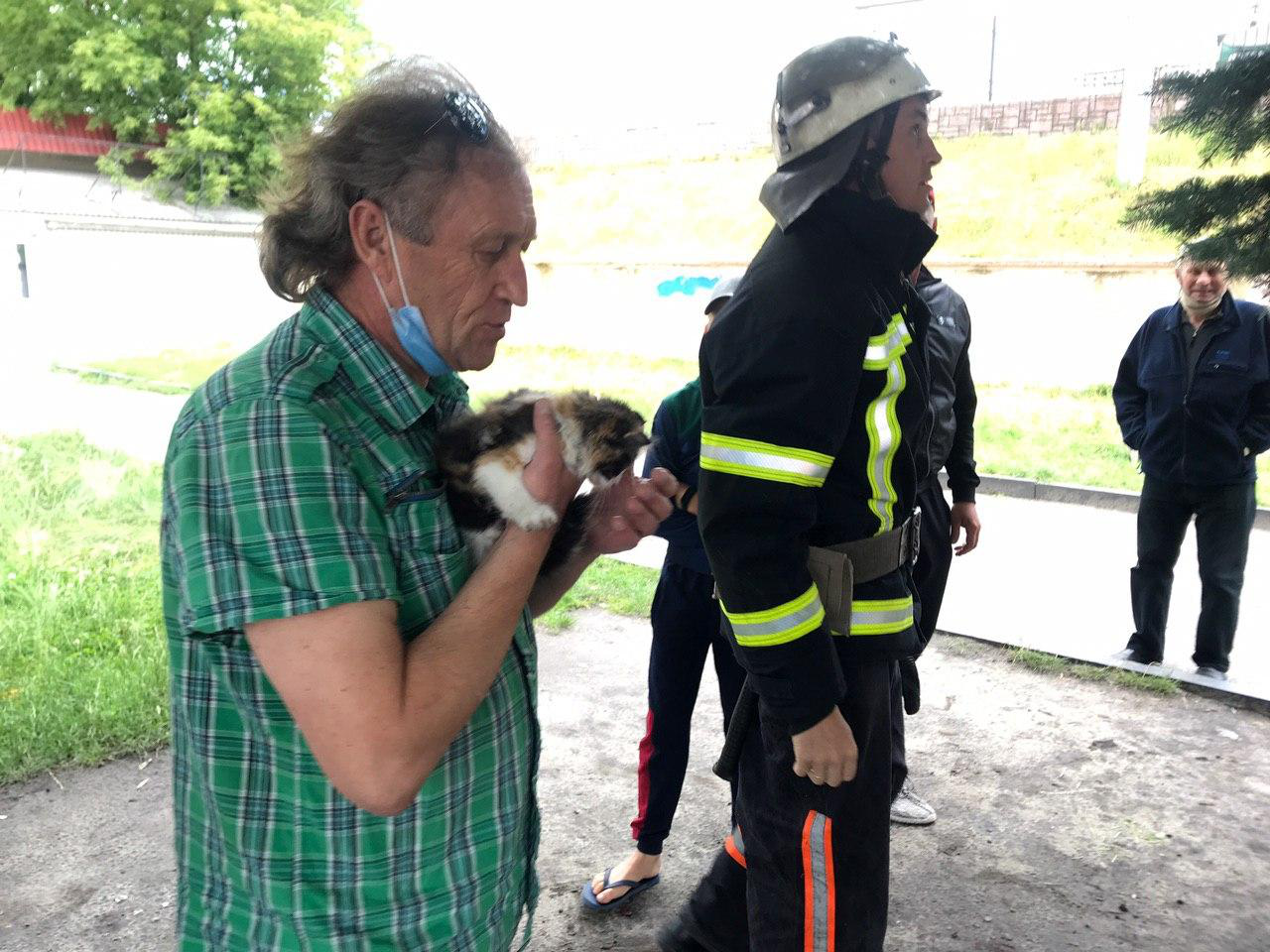 У Ковелі рятувальники зняли кошеня з 4-метрової висоти (фото)