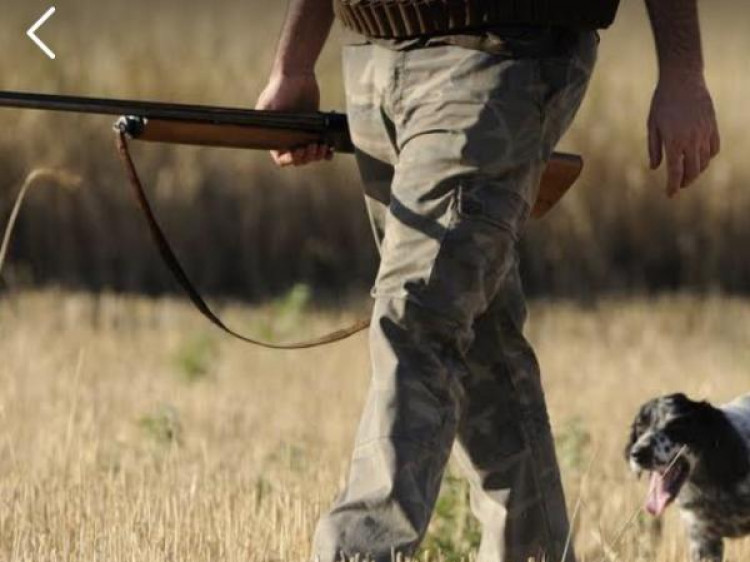 Незабаром сезон полювання на пернатих: що треба знати волинянам