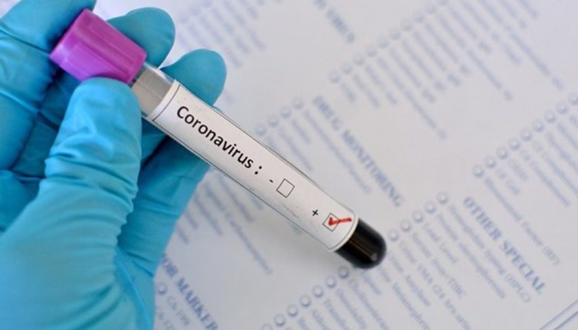 «Йо*аний коронавірус» і вбиті коти: історія боротьби з хворобою і ... людьми