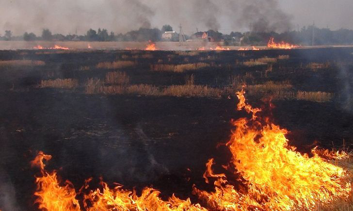 Через обстріли бойовиків на Донбасі спалахнула пожежа