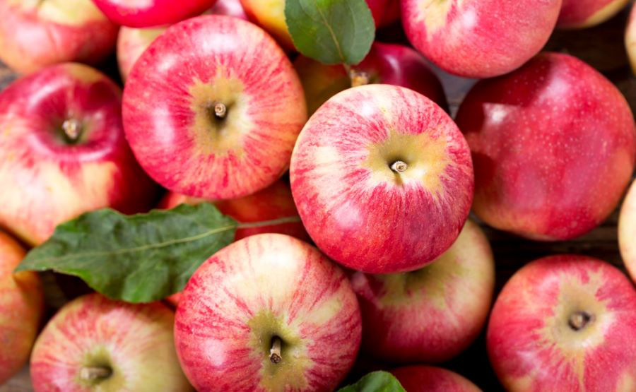 Скільки коштуватимуть яблука восени і коли почнуть дешевшати