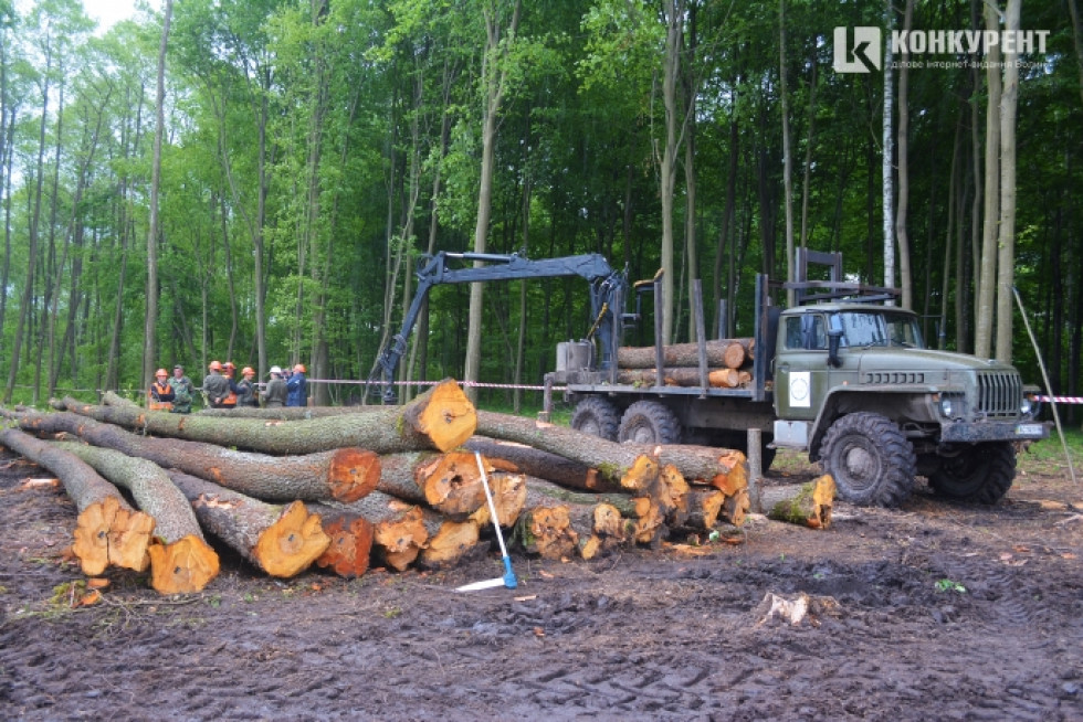 Двох волинських лісівників судитимуть за «мутки» з деревиною
