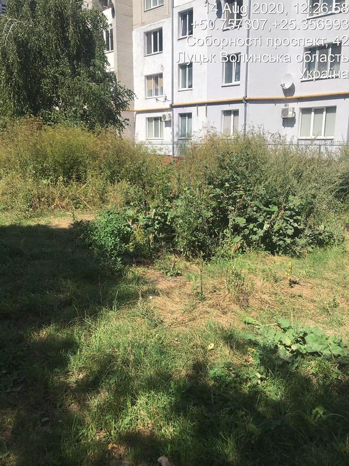 Голову ОСББ у Луцьку змусили скосити зілля навколо будинку (фото)