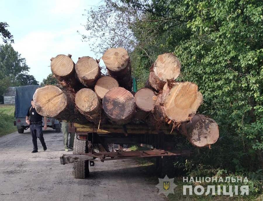 На Волині спіймали викрадача лісу: трактор і деревину забрали (фото)