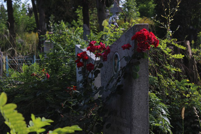 Три історії про живих: (не)містична прогулянка луцьким цвинтарем (фото)