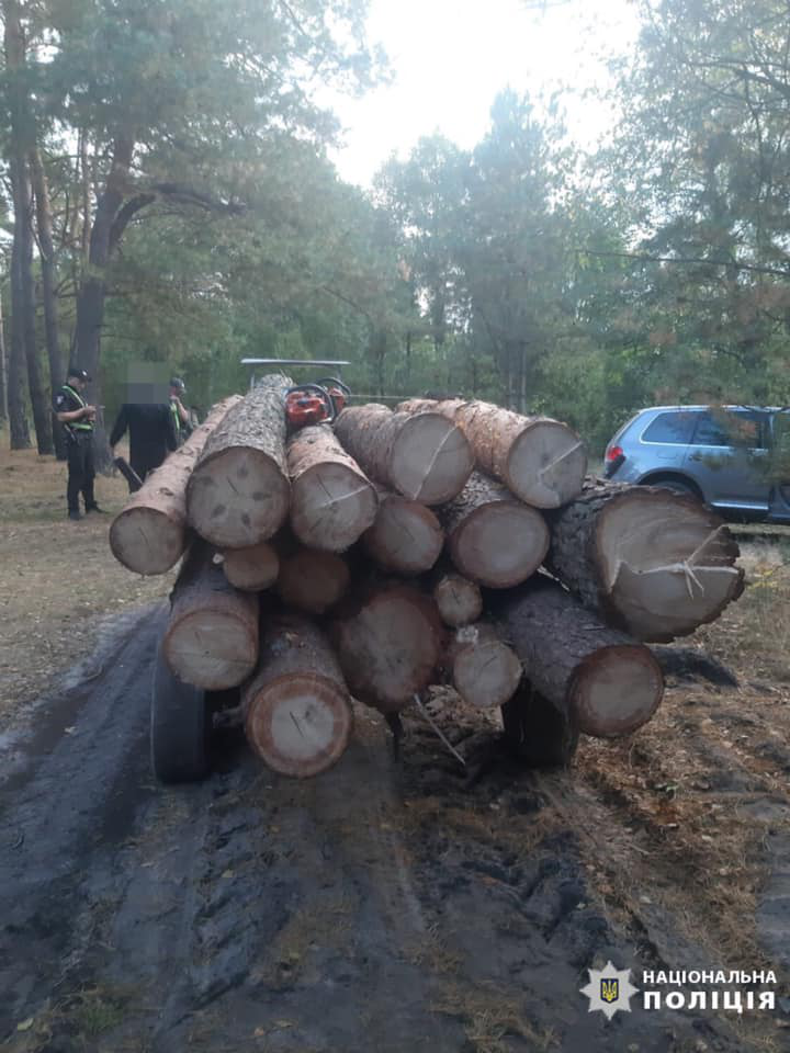 45 тисяч гривень збитків: поліція викрила волинян, які незаконно рубали ліс