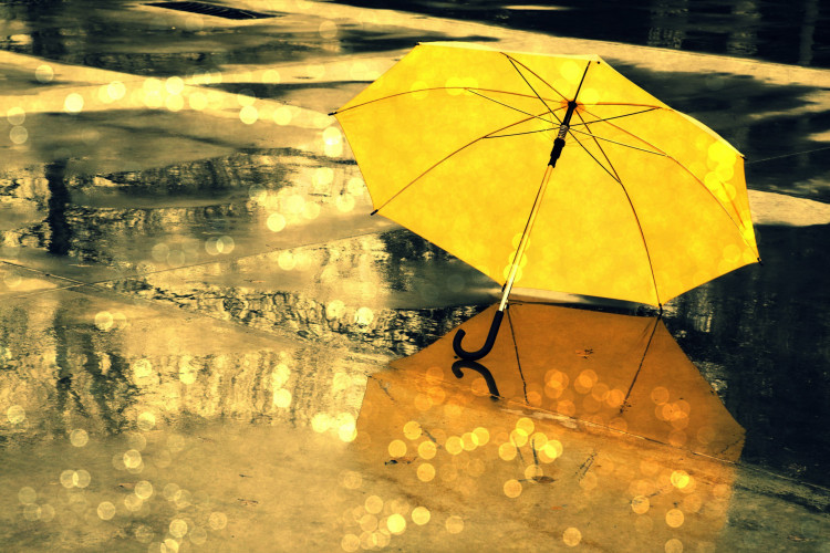 Будуть потрібні парасольки: погода у Луцьку на четвер, 1 жовтня