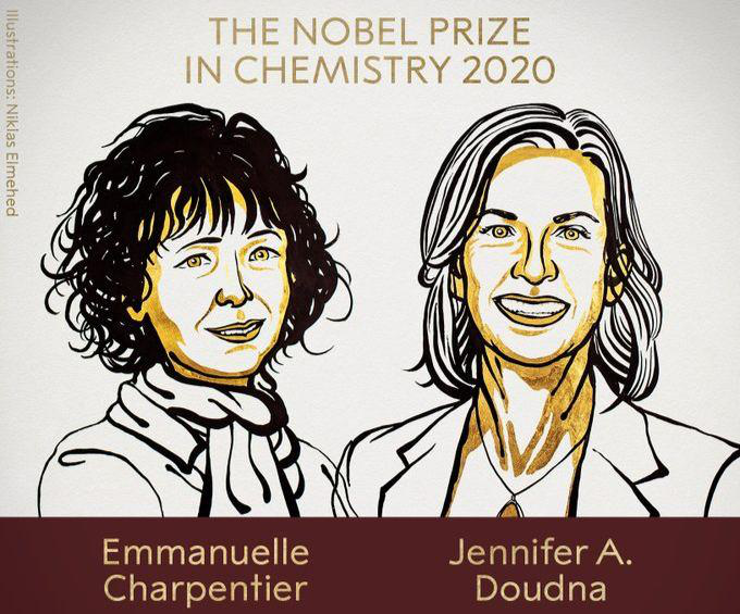 Назвали лауреатів Нобелівської премії з хімії