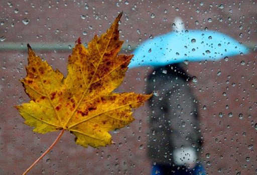З обіду з дощем: погода у Луцьку на четвер, 8 жовтня