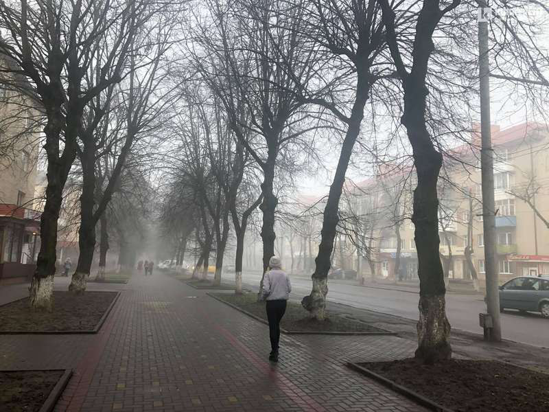 Очікують туман: погода у Луцьку в понеділок, 12 жовтня