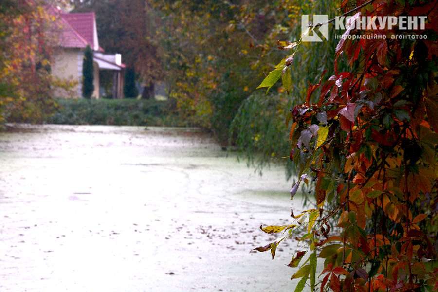 Холодно й мокро: погода в Луцьку на суботу, 17 жовтня