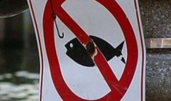На території Шацького нацпарку заборонили вилов риби: за порушення – штраф