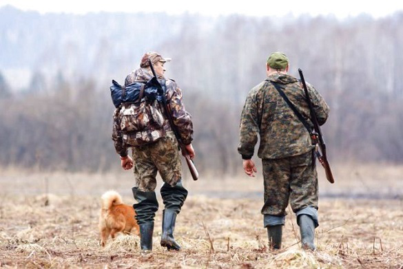 Ні пуху, ні пера: 1 листопада стартує сезон полювання на хутряних звірів