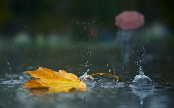 З дощем уночі: погода у Луцьку на суботу, 31 жовтня
