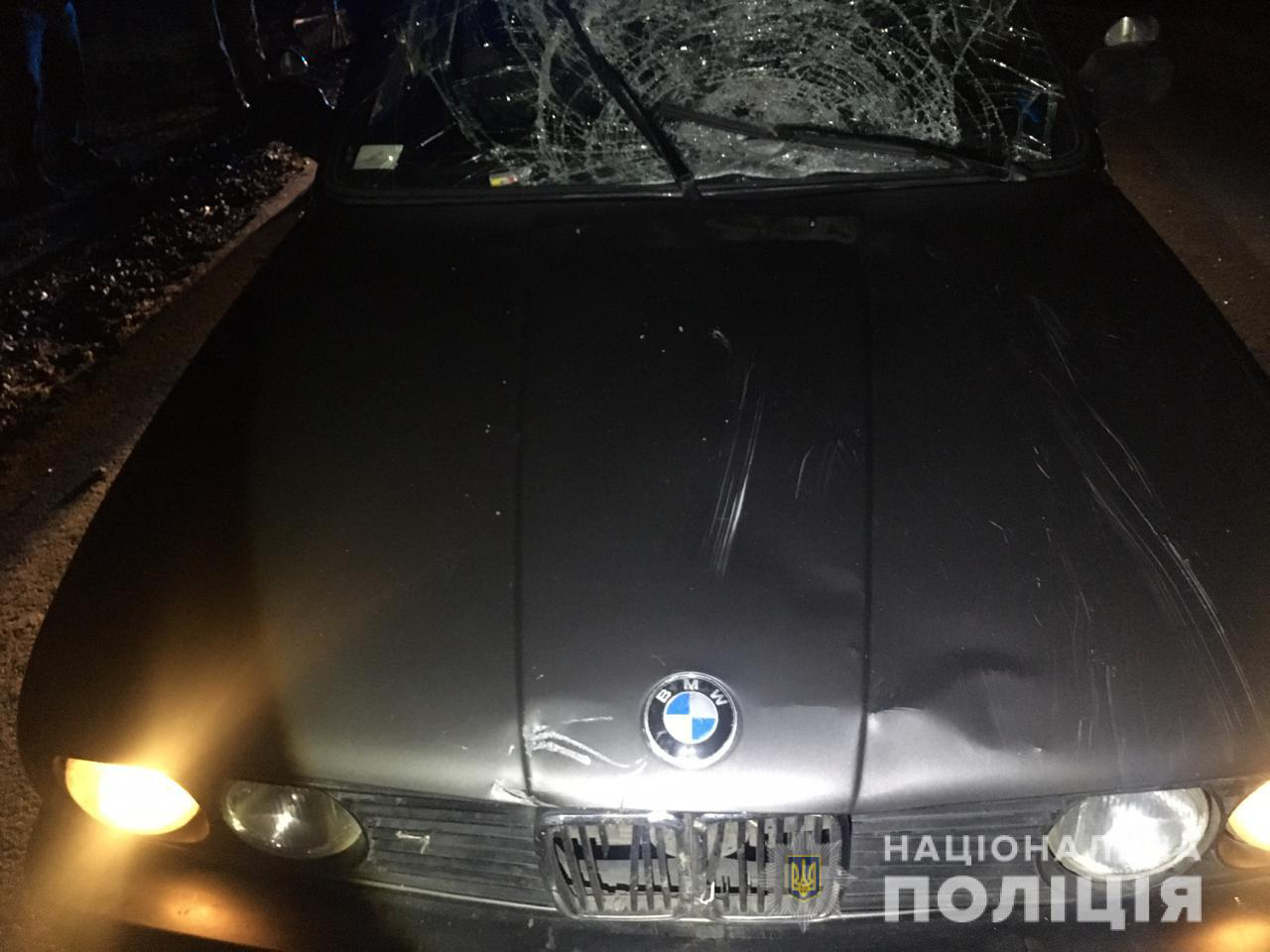 Біля Володимира автомобіль збив велосипедиста (фото)