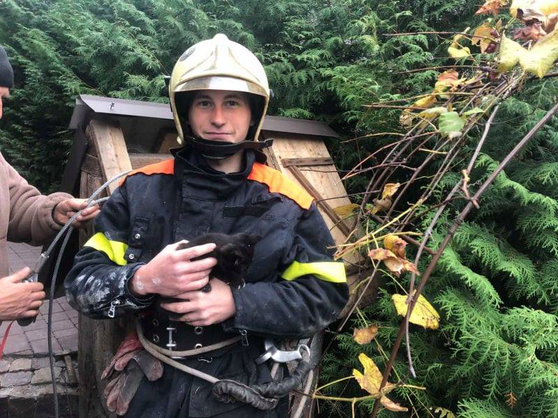 У Володимирі рятувальники з глибокої криниці витягнули кошеня (фото)