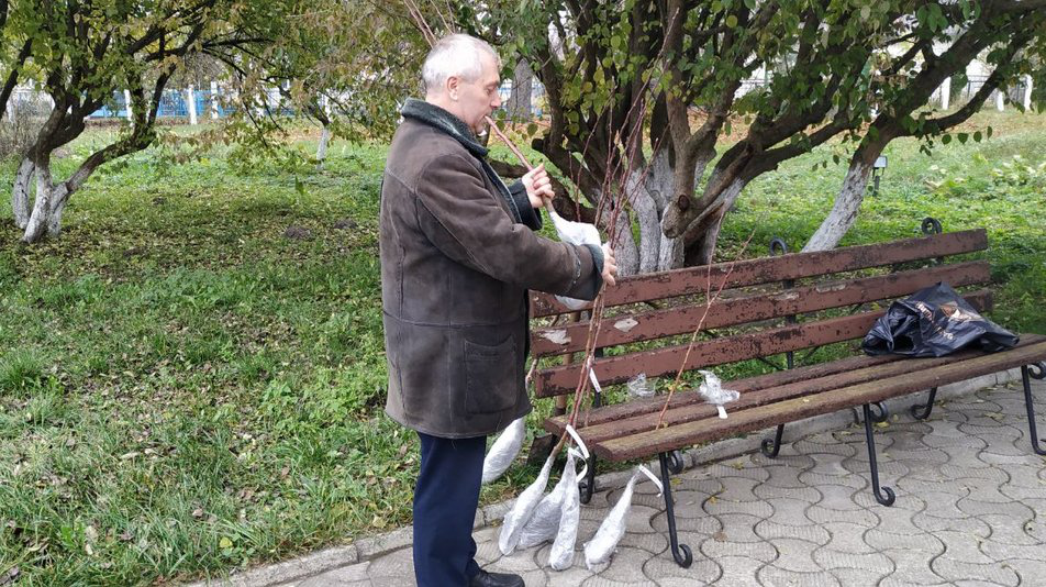 У садибі Лесі Українки шанувальник письменниці висадив нові груші