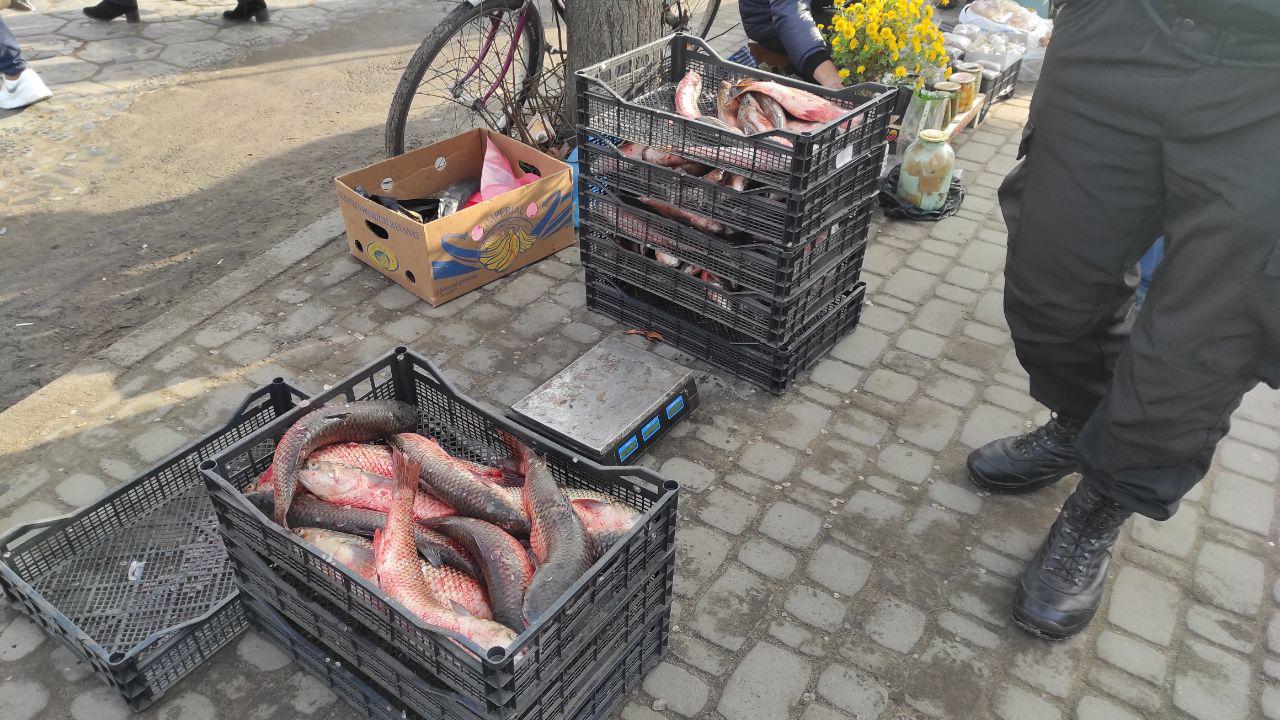 На ринку у Камені-Каширському чоловік не зміг пояснити, де взяв 35 кг пелінгасу для торгівлі