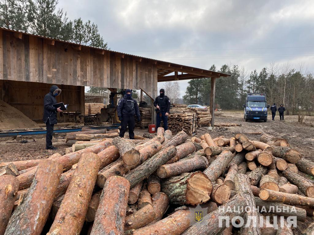У селі на Волині поліція обшукує двори: шукають незаконну деревину (фото)