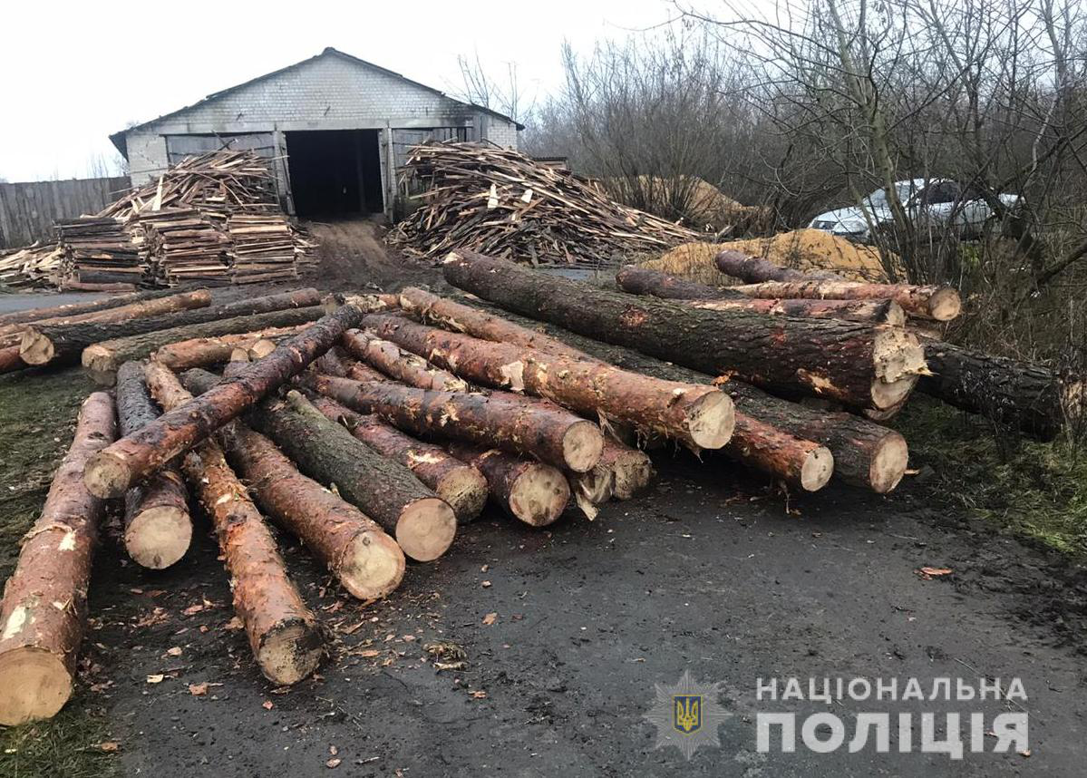 У Ківерцівському районі поліція виявила незаконну деревину (відео)