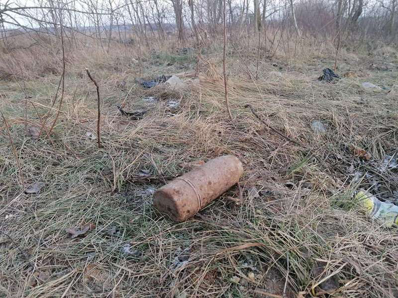 У лісах на Волині знайшли 15 боєприпасів часів війни