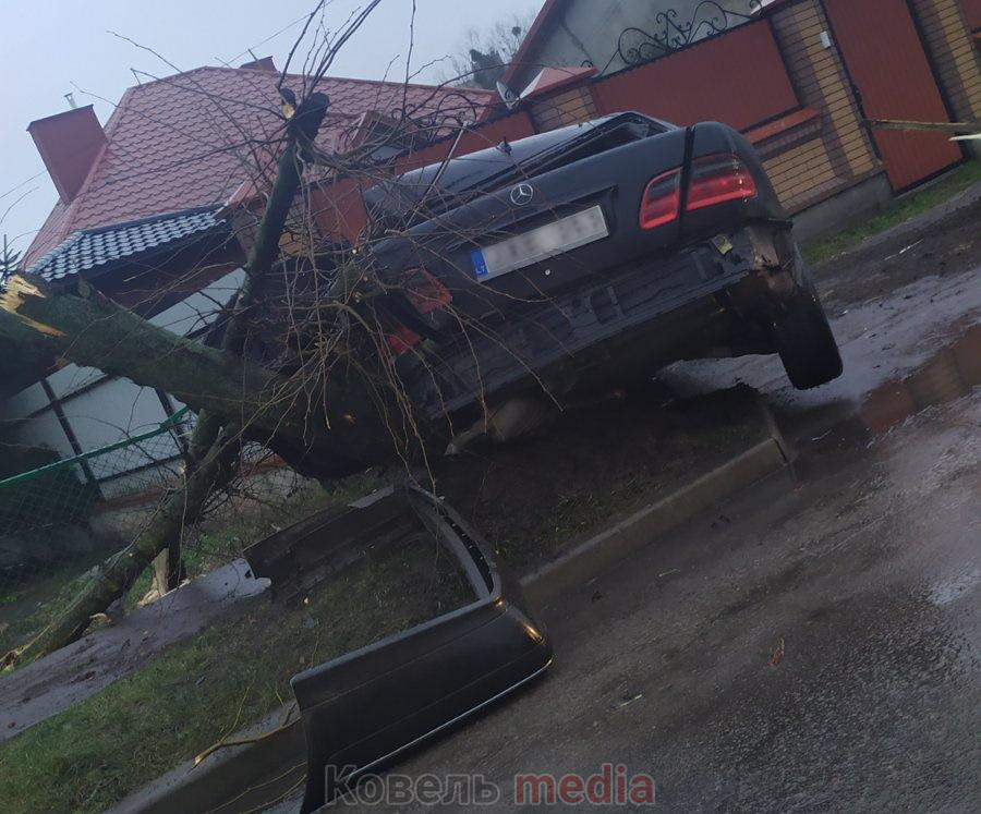 Аварія у Ковелі: автівка на єврономерах знесла дерево (фото)