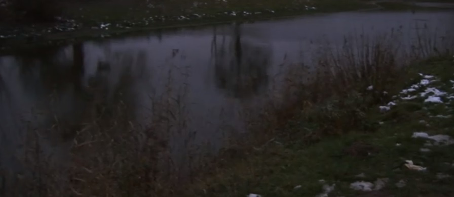 Центральний парк Луцька заполонили «моржі» (фото, відео)