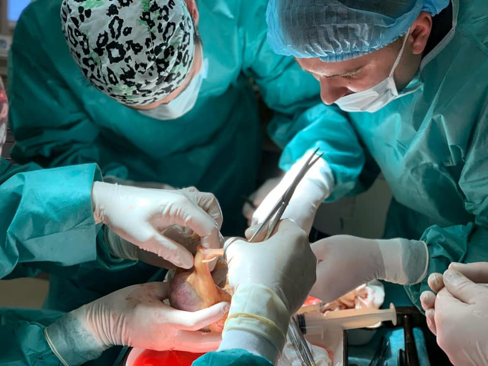 За рік у Ковельському МТМО зробили 15 операцій із пересадки органів