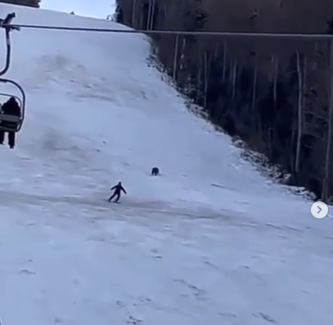 В Румунії ведмідь влаштував погоню за лижником (відео)