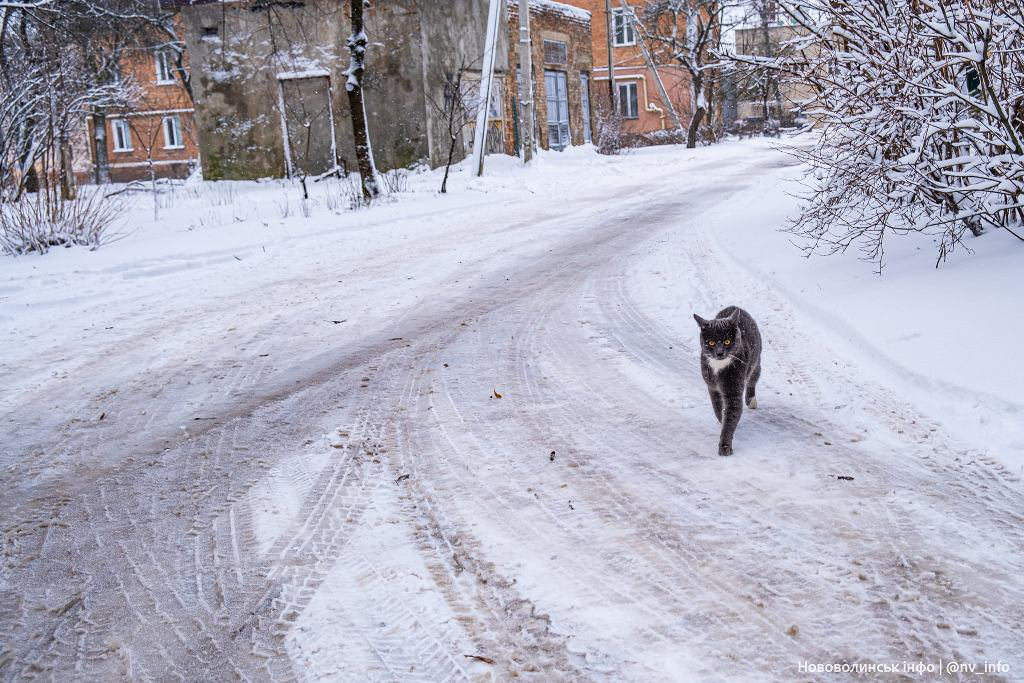 Справжня зима: Нововолинськ засипало снігом (фото)