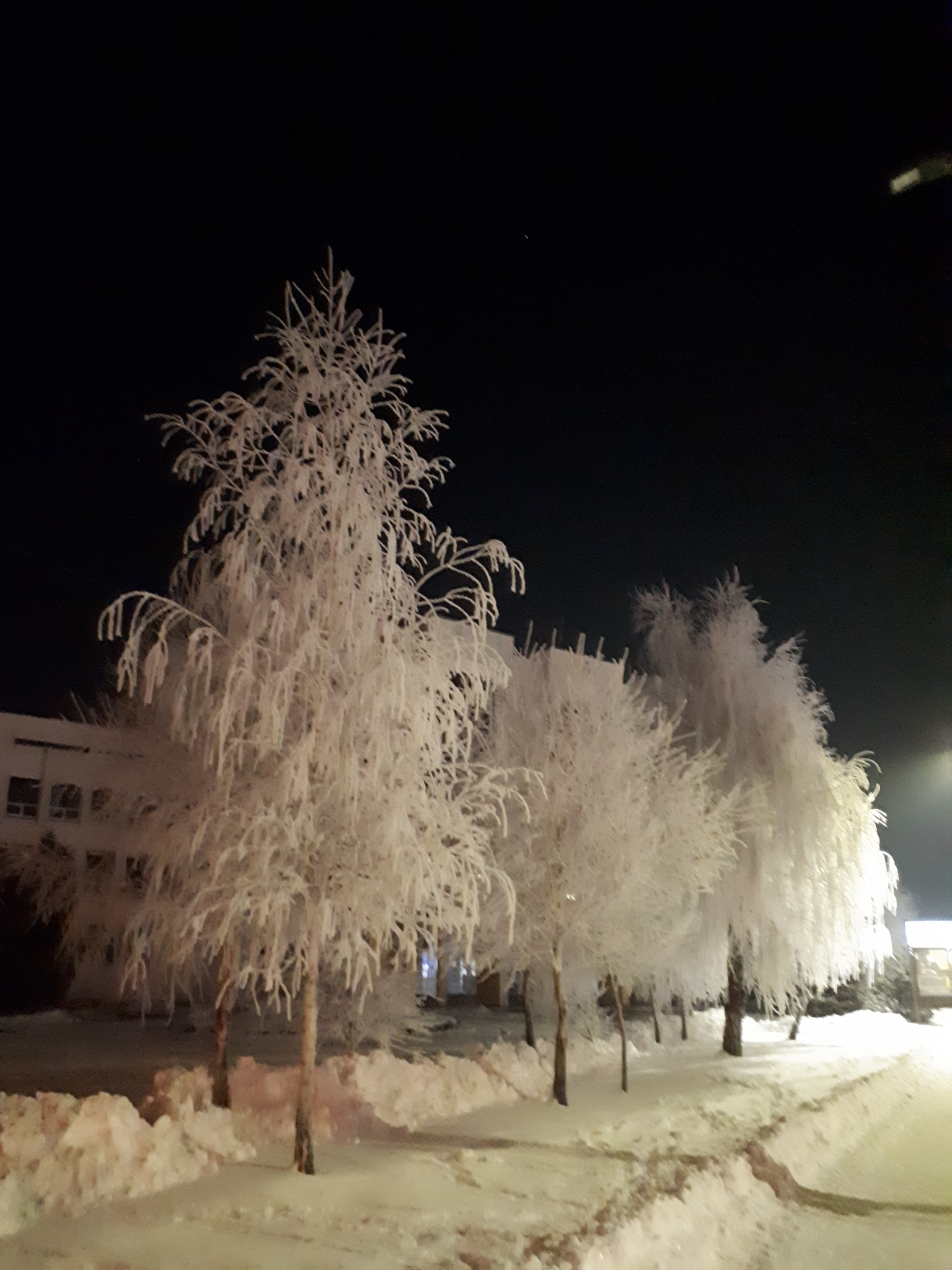 Морозний ранок у Луцьку (фото)